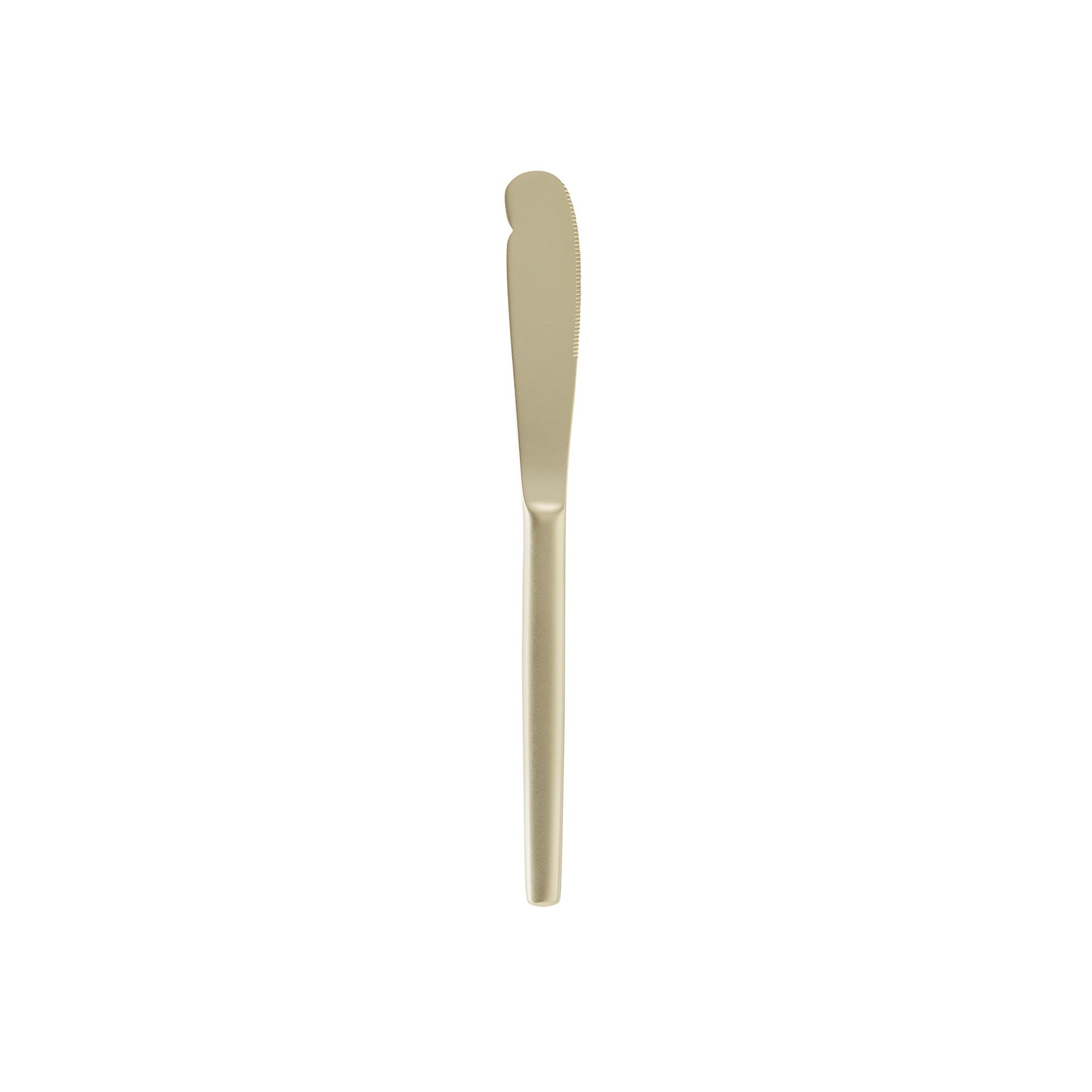 Buttermesser Set ALEX CHAMPAGNE 18 cm