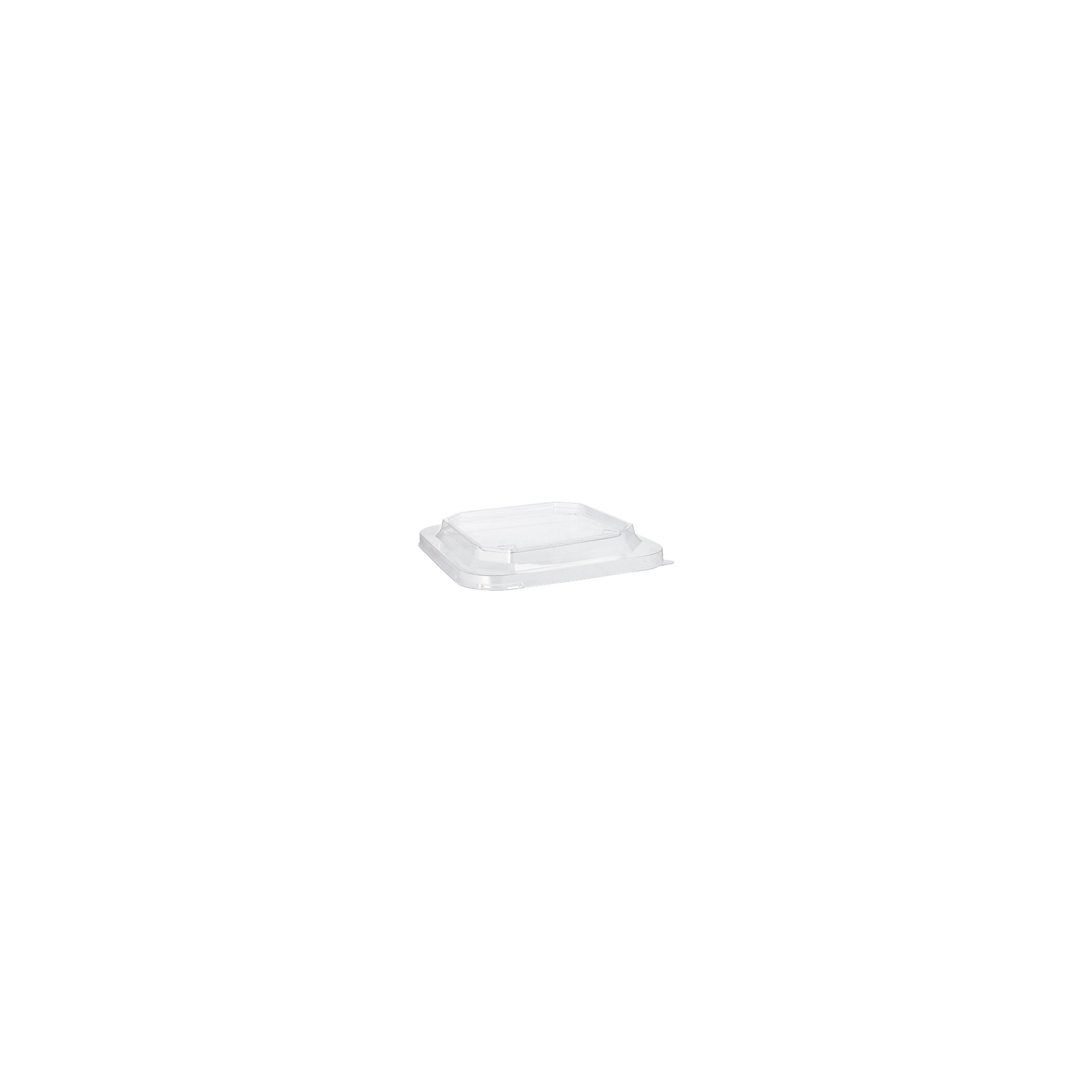 Deckel für Lunchboxen PET eckig 2,5 cm x 18 cm x 18 cm transparent Deckel für Lunchboxen PET eckig 2,5 cm x 18 cm x 18 cm transparent