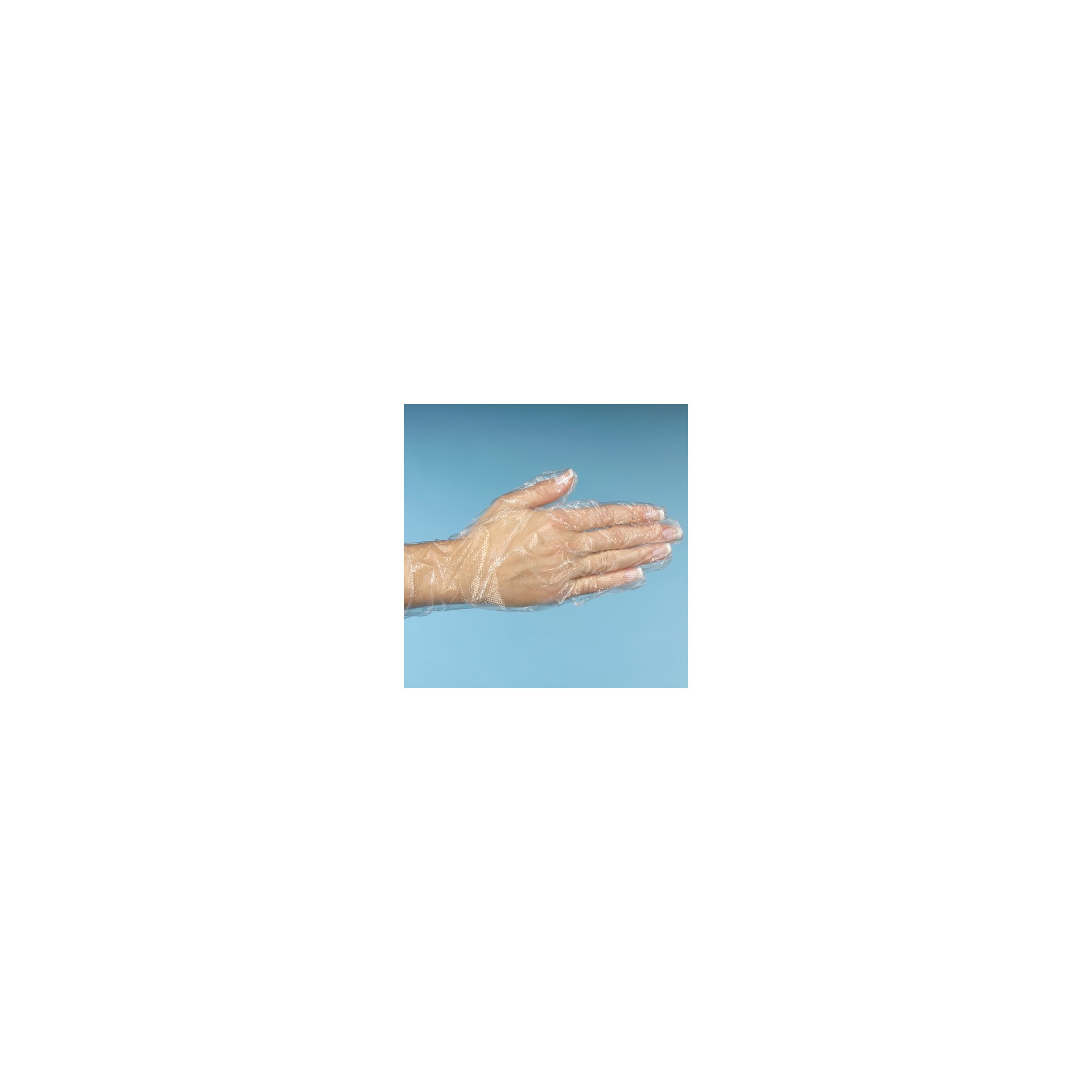 "WORK-INN/-PS" Handschuhe, PE transparent für Damen, M