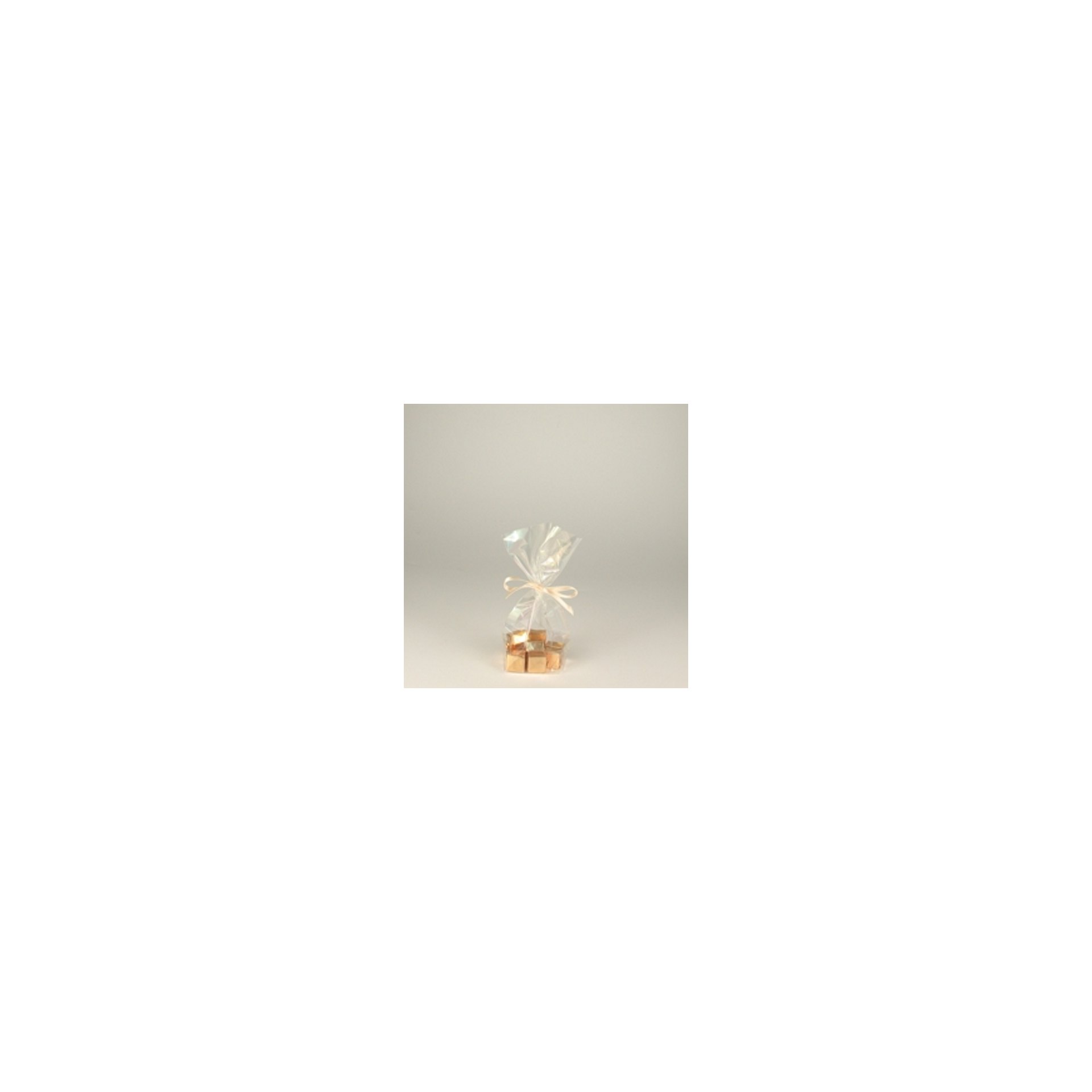 Bodenbeutel, PP 16 cm x 9,5 cm x 4 cm transparent