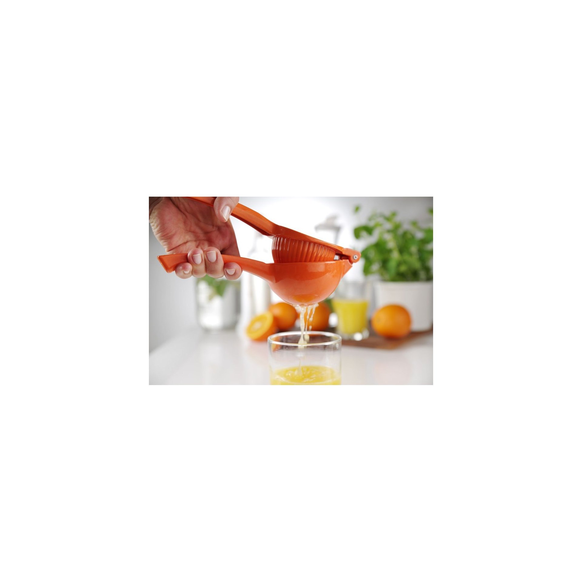 Zitruspresse, BarUp, orange (für Orangen), 232x91x(H)60mm