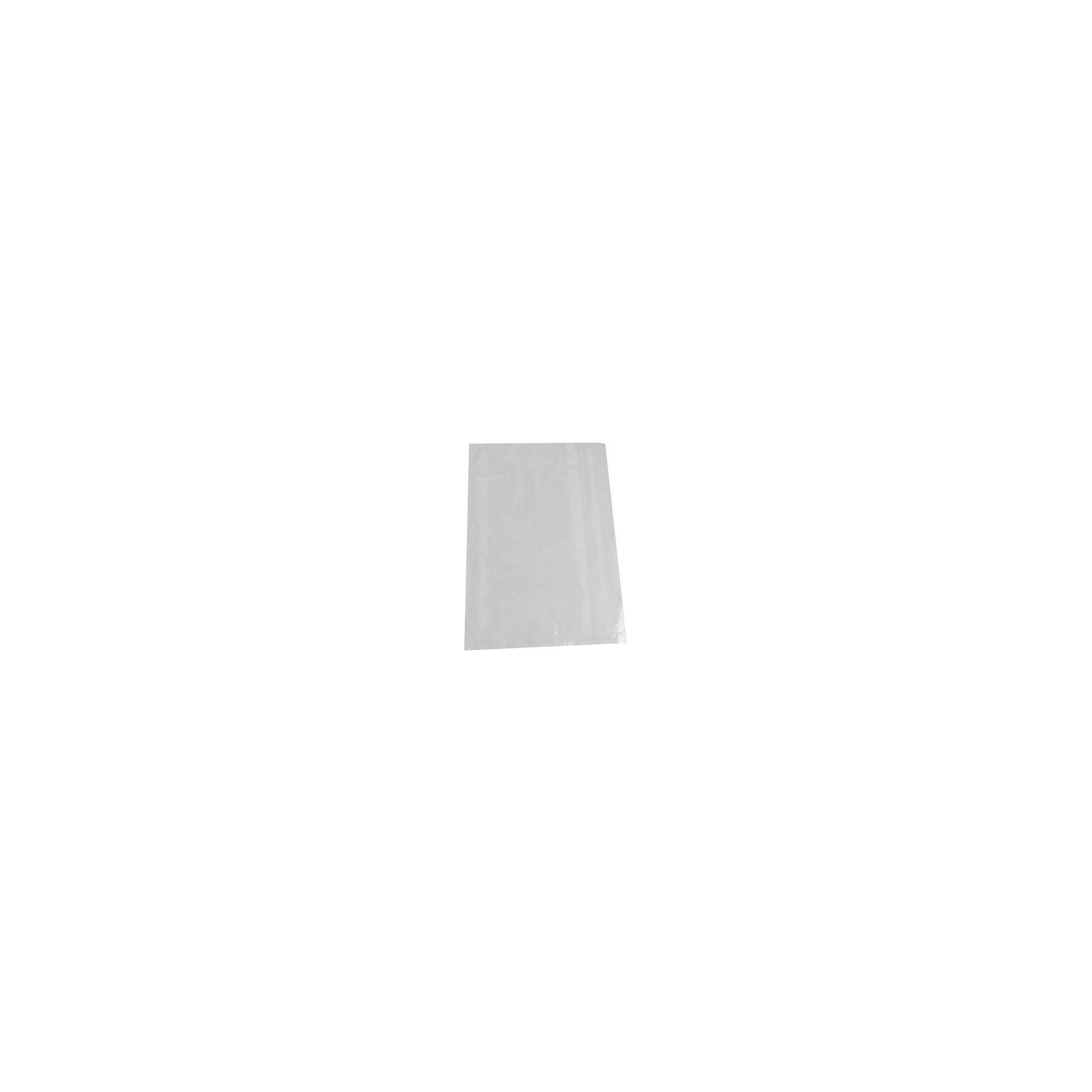 Flachbeutel, LDPE 24 cm x 16 cm transparent