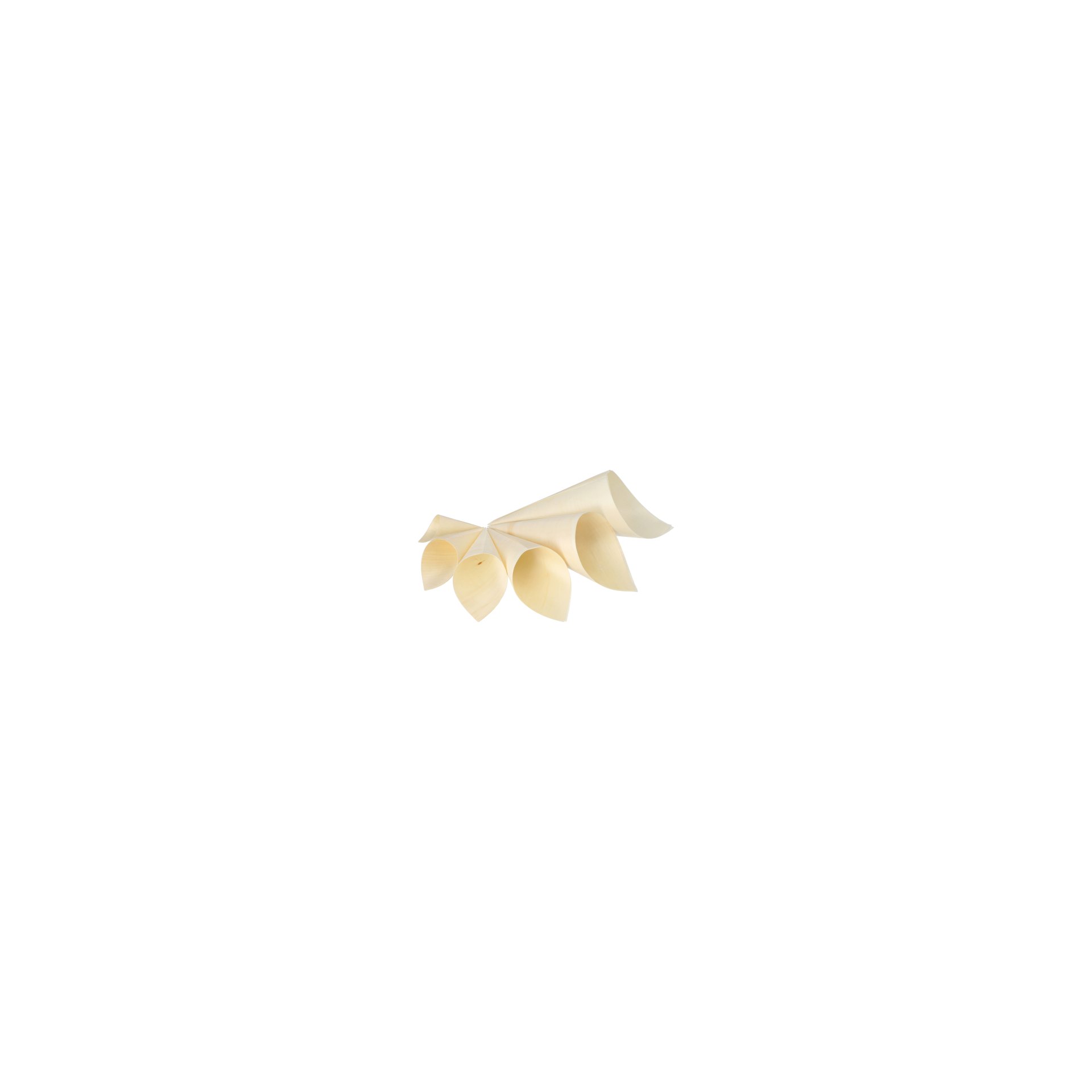 Fingerfood - Spitztüten, Holz "pure" Ø 11 cm · 21 cm Fingerfood - Spitztüten, Holz "pure" Ø 9,5 cm · 18 cm