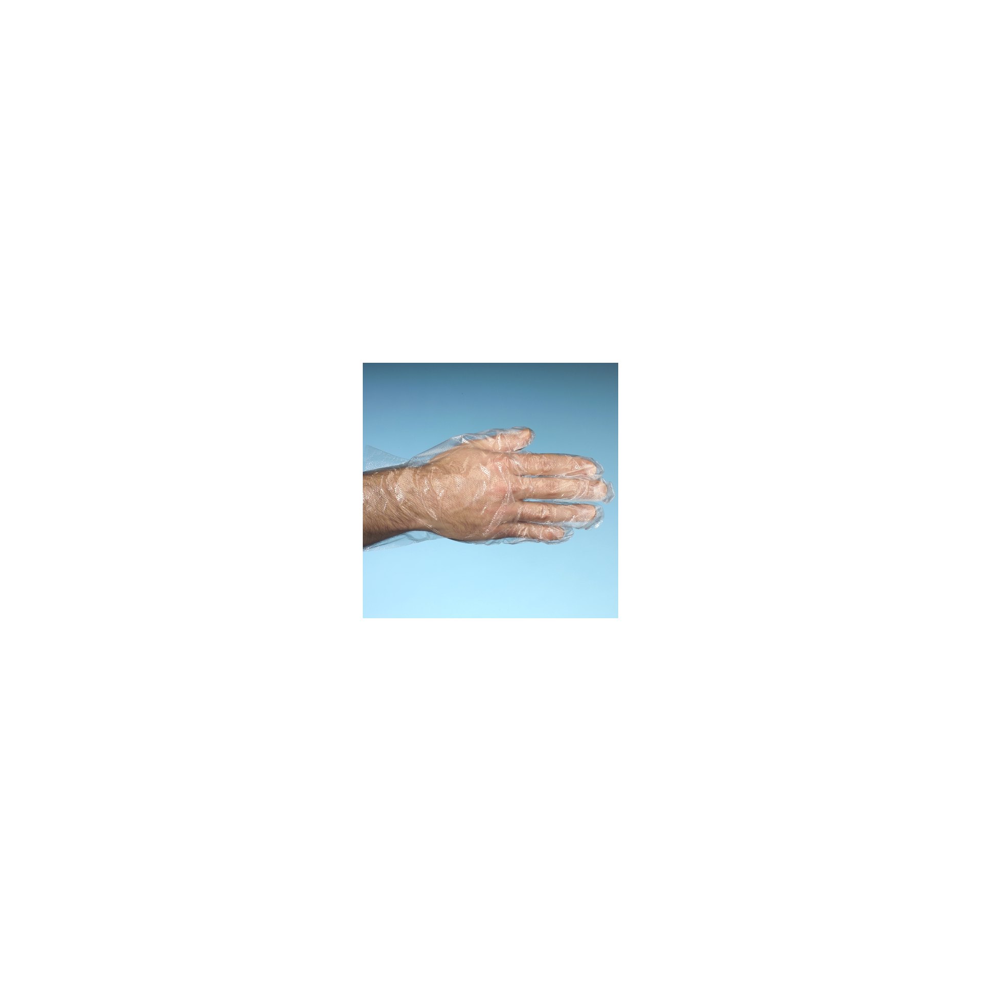 "WORK-INN/-PS" Handschuhe, PE transparent für Herren, L