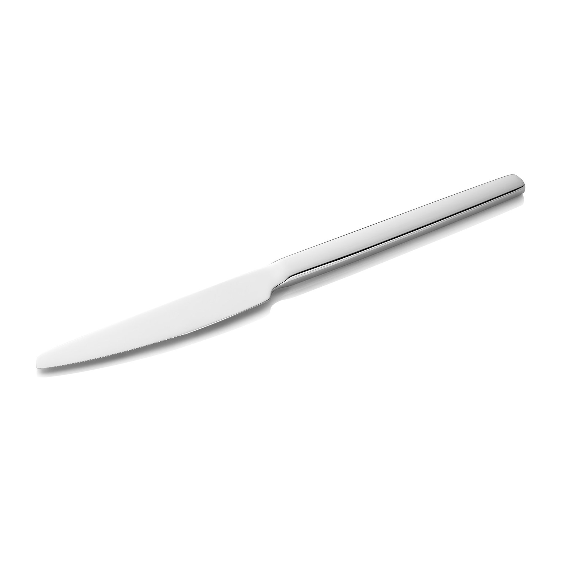 Menümesser Set ALEX SILVER 23 cm