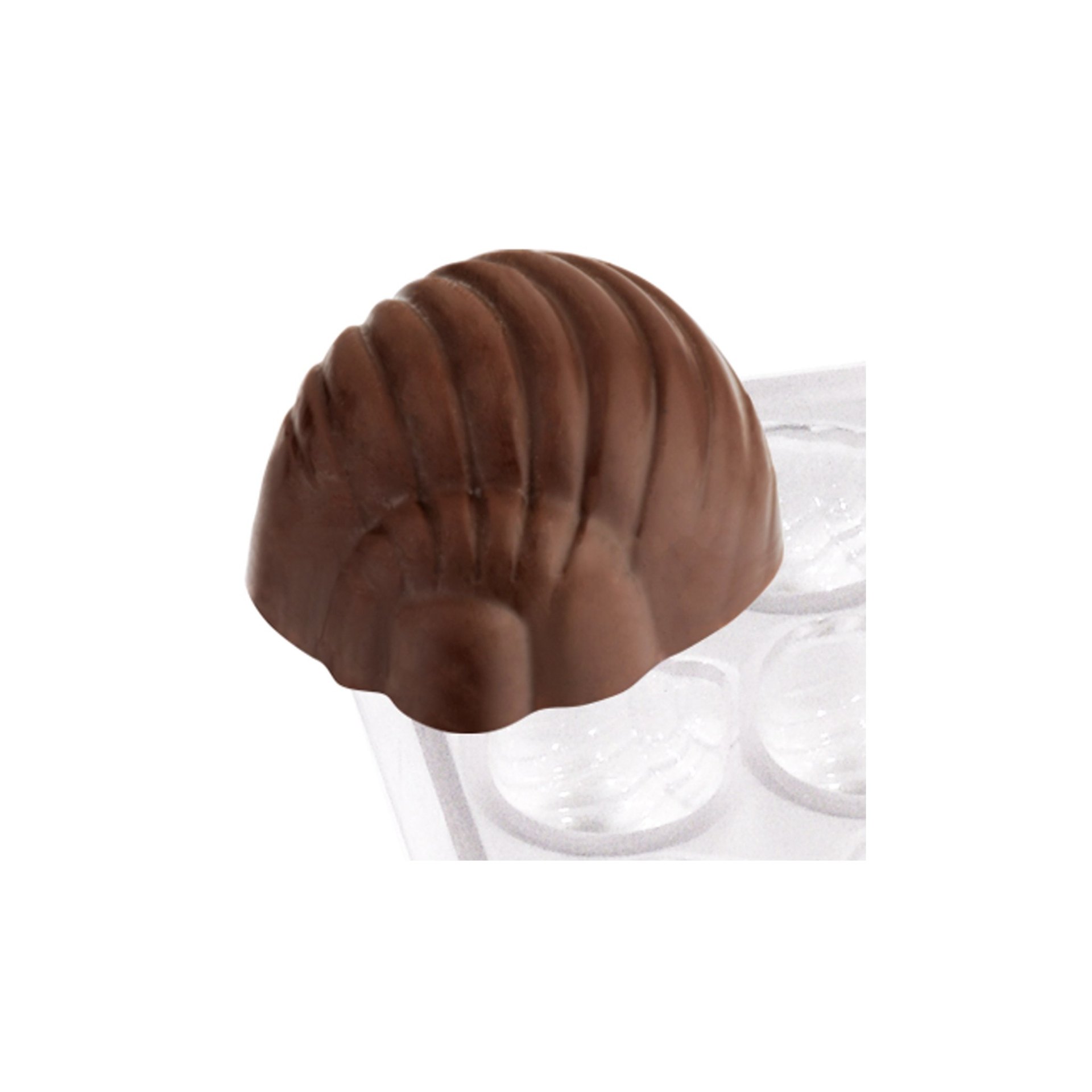 Pralinenform Schneckenhaus Pralinenform Schneckenhaus