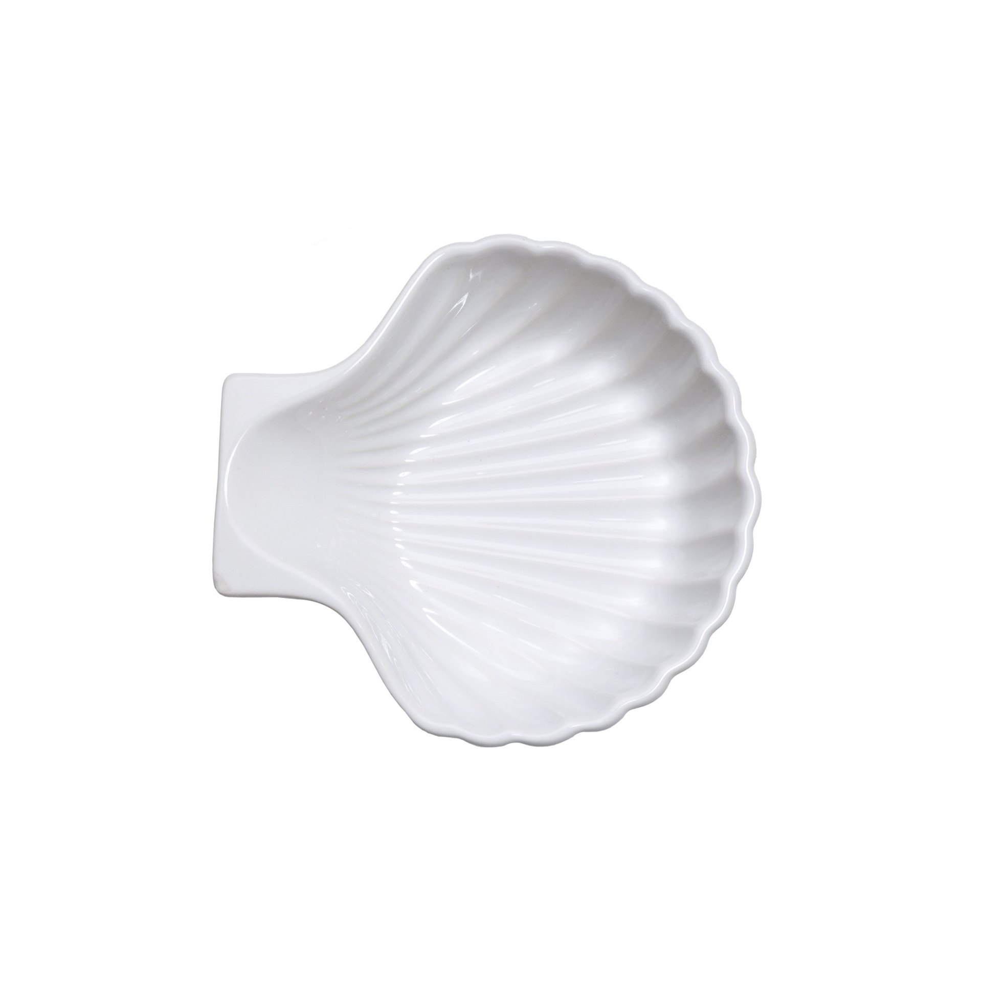 Muschelschale Muschelschale