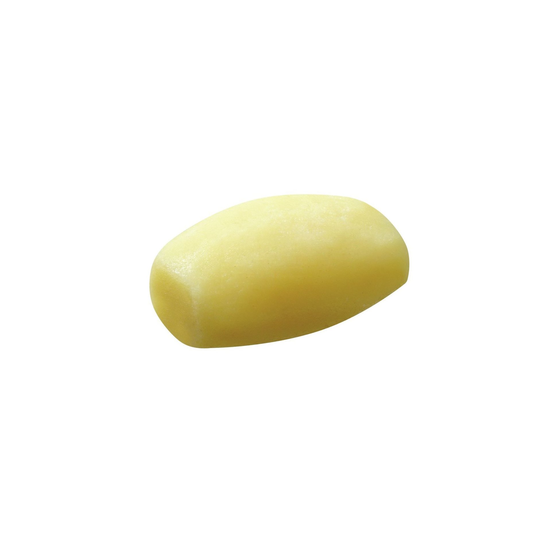 Pasta-Matrize Gnocchi 12 mm Pasta-Matrize Gnocchi 12 mm