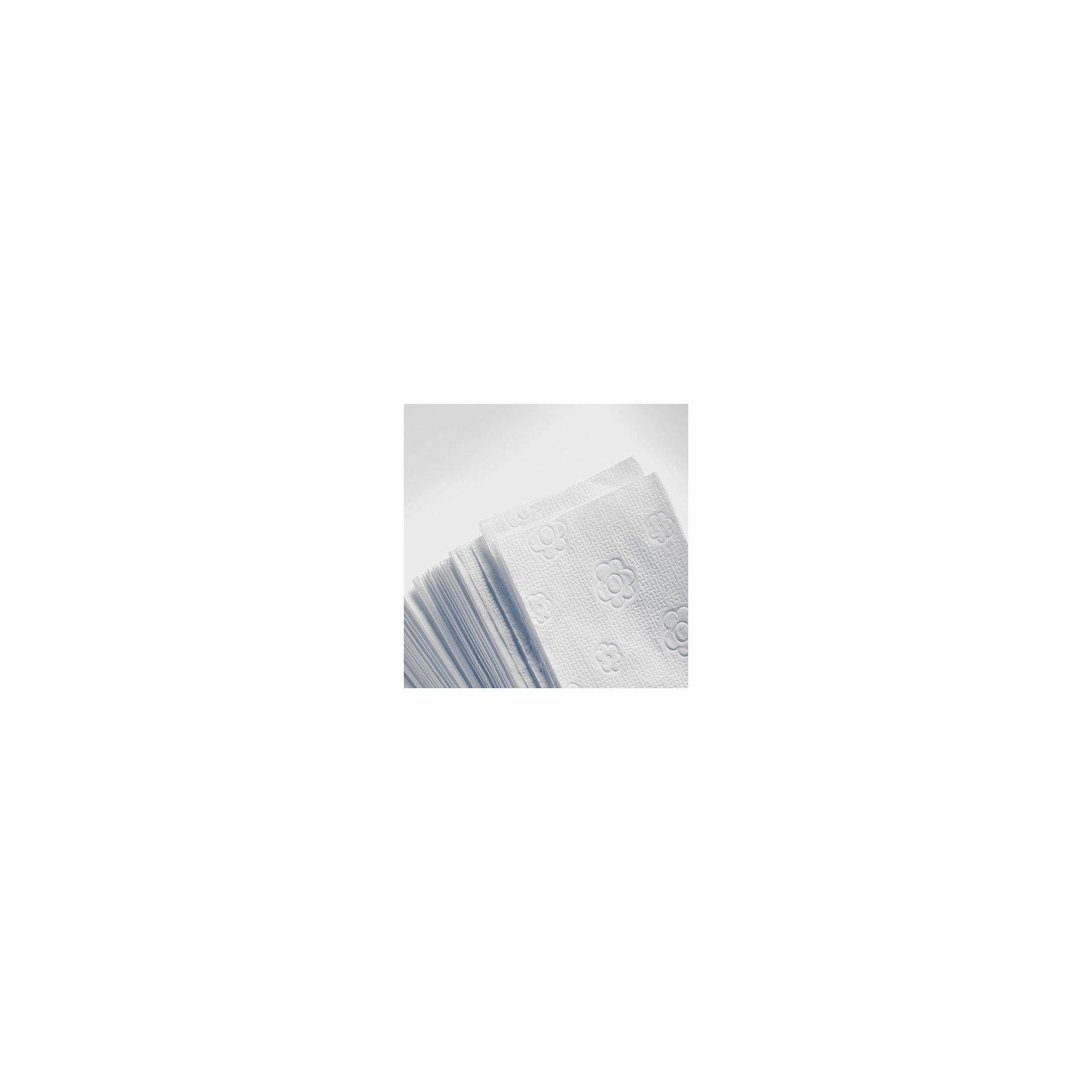 Blatt Handtuchpapier V-Falz 23 cm x 25 cm weiss "Eco" 2-lagig (20x160) Blatt Handtuchpapier V-Falz 23 cm x 25 cm weiss "Eco" 2-lagig (20x160)