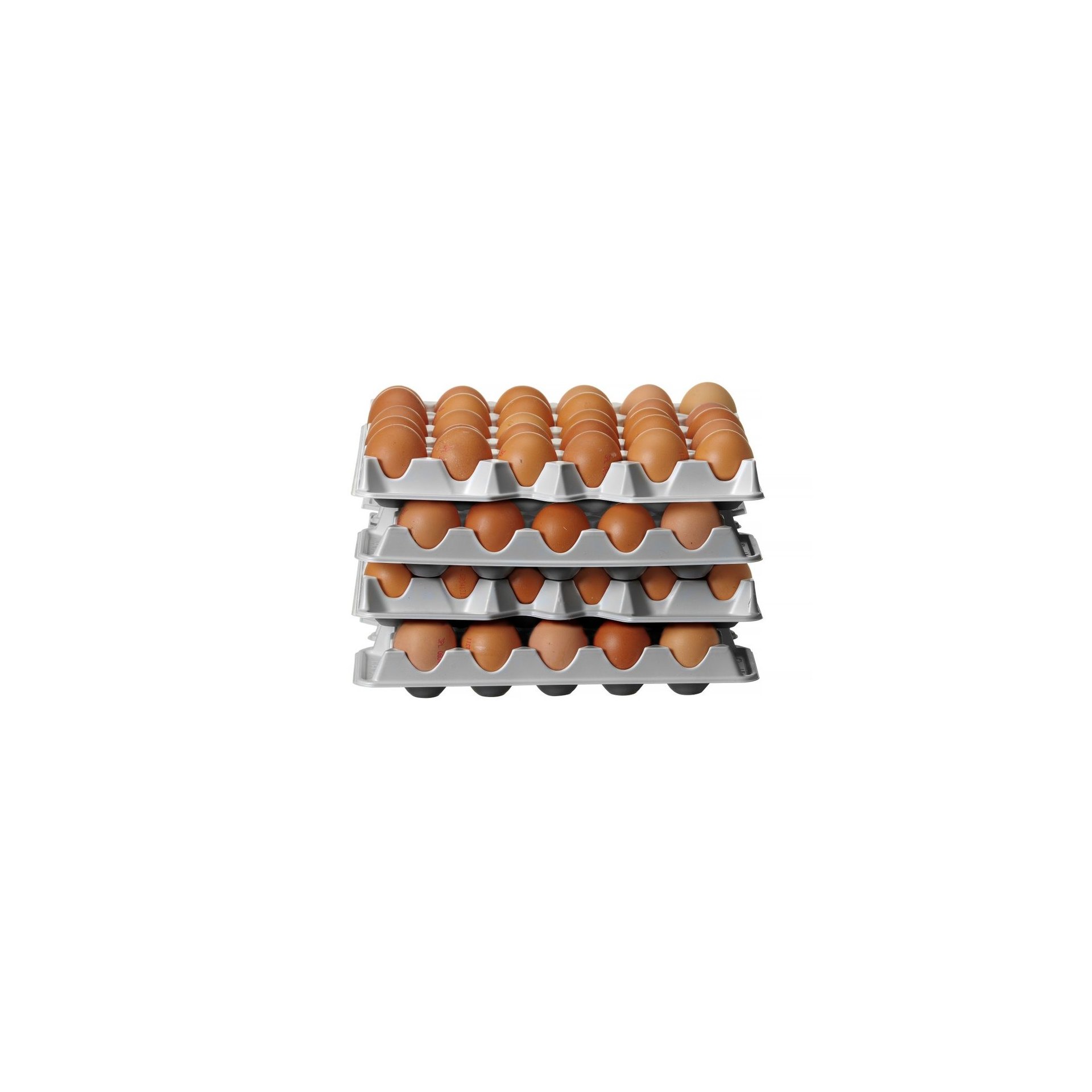 Set aus 4 Eierbehältereinsätzen für HENDI OVOBOX 120 , 291x288x(H)41mm Set aus 4 Eierbehältereinsätzen für HENDI OVOBOX 120 , 291x288x(H)41mm